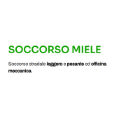 SOCCORSO MIELE S.R.L.